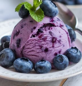 Refreshing Blueberry Sorbet